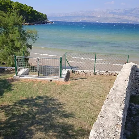 Cvitina