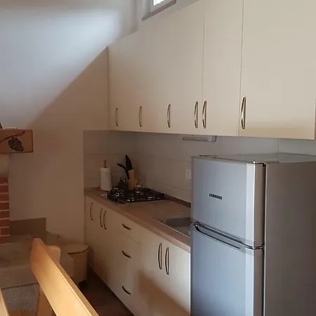 Cvitina Holiday home