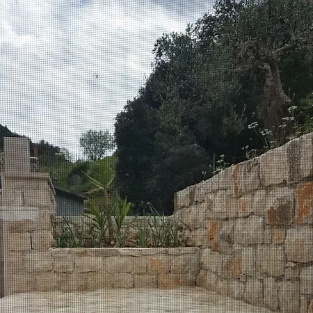Cvitina